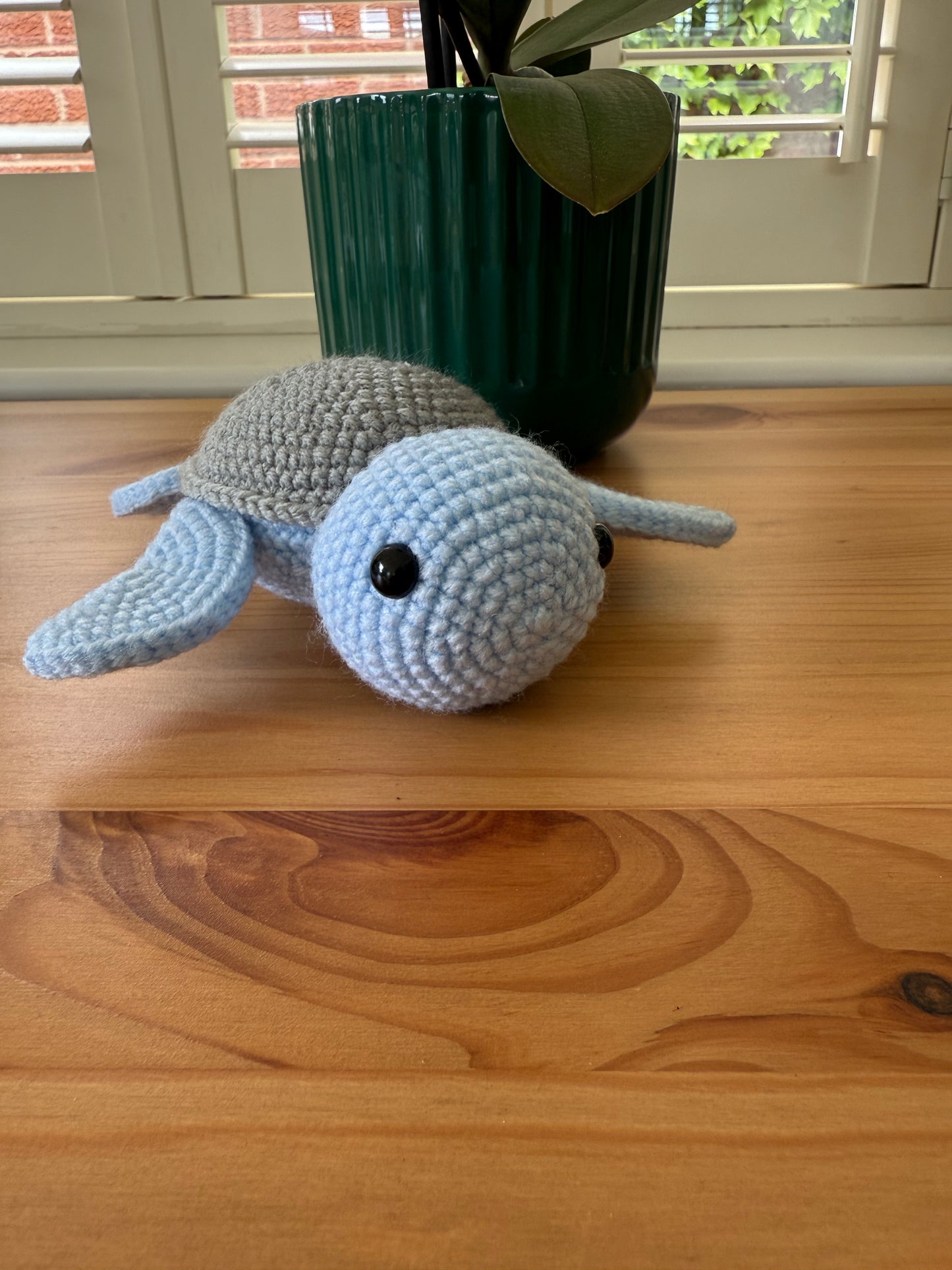 Bluey the turtle