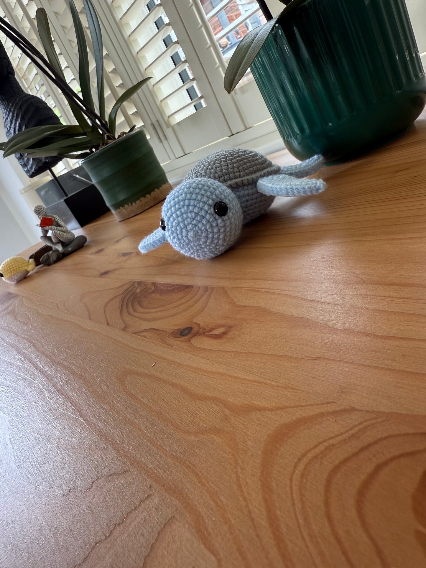 Bluey the turtle
