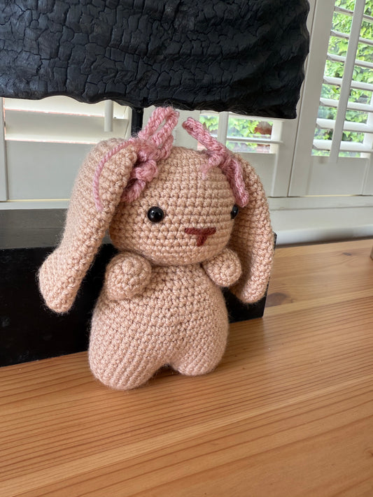 Honey the bunny